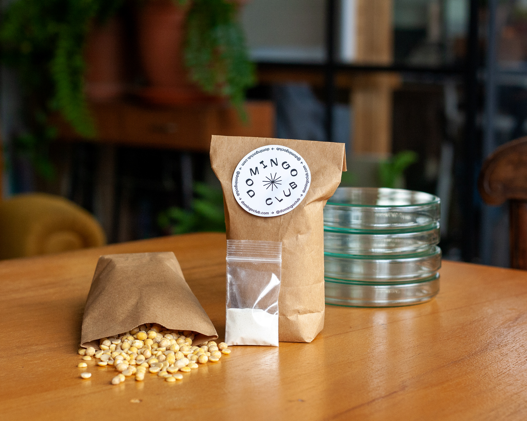 Tempeh starter kit